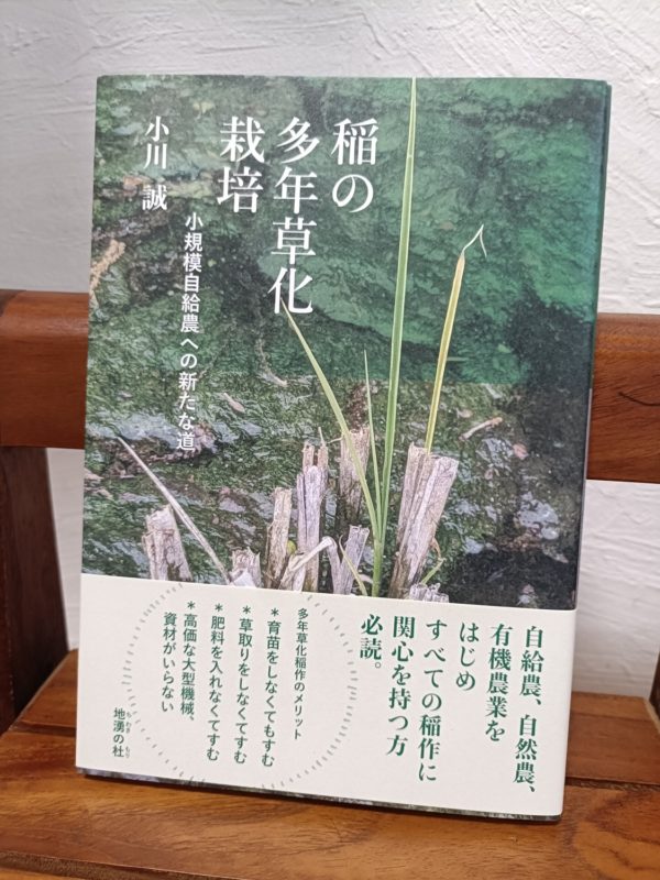 稲の多年草化栽培
